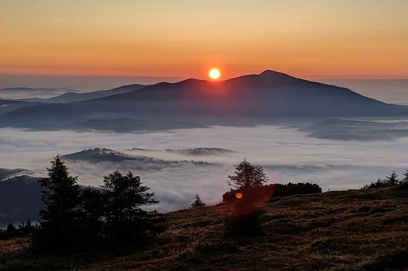 landscape-crop2x