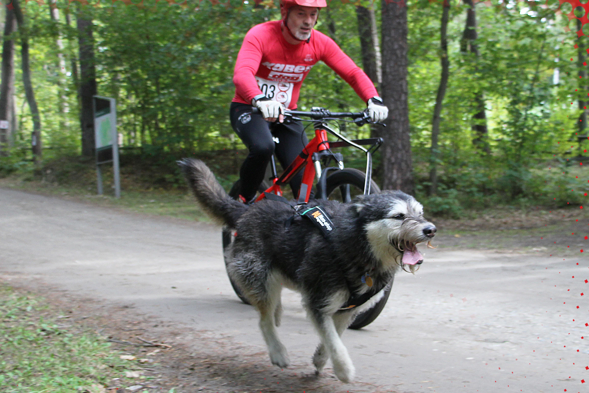 デカトロン キプスタ 25.5 デカトロン キプスタ 25.5 デカトロン